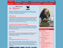 Tablet Screenshot of klyster.nl